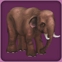 Elephante, Neopets, indian Elephant, Elephant, fandom, avatar