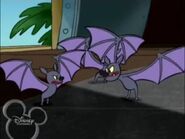Brandy&mrwhiskers-Bats