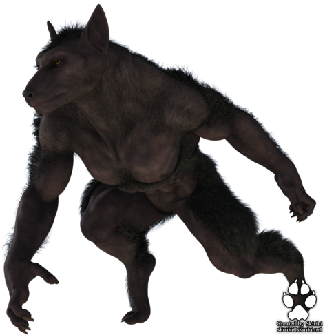 Werewolf | Animals Wiki | Fandom