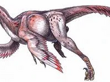 Atrociraptor