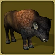 American-bison-zoo-tycoon.jpg (11 KB)