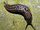 Leopard Slug