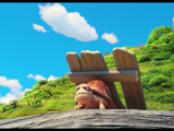 Greek Tortoise