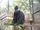 François' Langur
