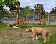 Wildlifezoo02