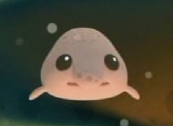 Blobfish, Animal Crossing Fan Wiki