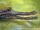 False Gharial