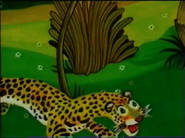 Golden Book Video Leopard