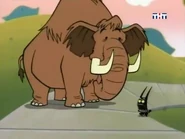 Catscratch (2005 - 2007)