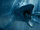 Mosasaurus