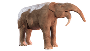 Dinopedia 3D App Deinotherium