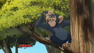 Chimpanzee-the-lion-guard