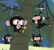 Chimpanzee-the-powerpuff-girls