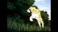 The New Adventures of Kimba the White Lion (1989 - 1990)