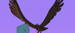 Harpy Eagle, FictionRulezForever Wiki