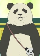 Shirokuma Cafe (2012 - 2013)
