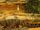 Eastern Nile Crocodile
