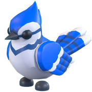 Blue Jay