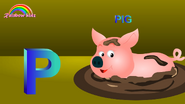 Rainbow Kidz Pig