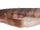 Quagga Catshark