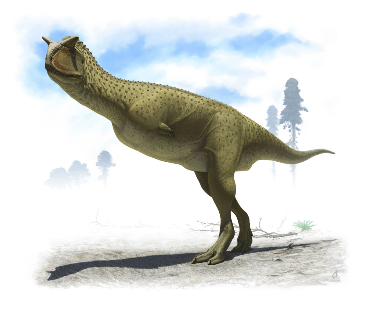 Carnotaurus | Animals Wiki | Fandom