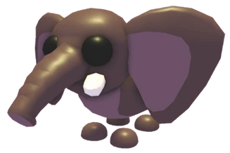 Bush Elephant