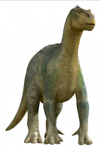 Dinossauro (2000), Wiki