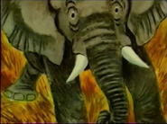 Golden Book Video African Elephant