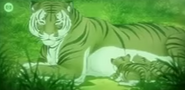 Tiger-jungle-emperor-leo