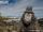 Crested Black Macaque