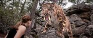 Smilodon (1)