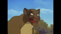 Cougar | Animals Wiki | Fandom Cougar | Animals Wiki | Fandom