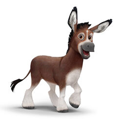 Domestic Donkey | Animals Wiki | Fandom Domestic Donkey | Animals Wiki | Fandom