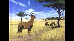 Topi Animals Wiki Fandom Topi Animals Wiki Fandom
