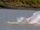 Amazon River Dolphin
