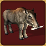 African Warthog (Blue Fang)