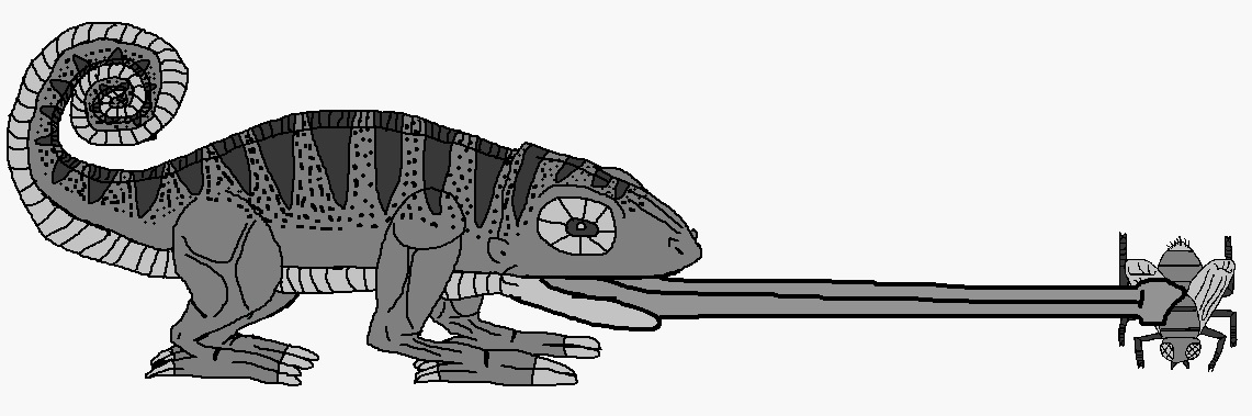 Color the Chameleon | Animals Turned Into Stone Wiki | Fandom