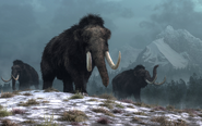 Artwork of 3 Woolly Mammoths walks on a snowy hill