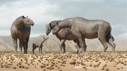 Paraceratherium herd having birth celebration art