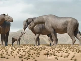 Paraceratherium
