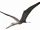 Liaoxipterus