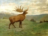 Irish Elk