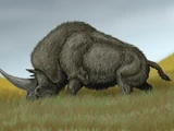 Elasmotherium