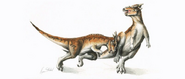 Two subadult Pachycephalosaurus headbutting