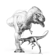 Illustration of Raptorex and Tyrannosaurus rex