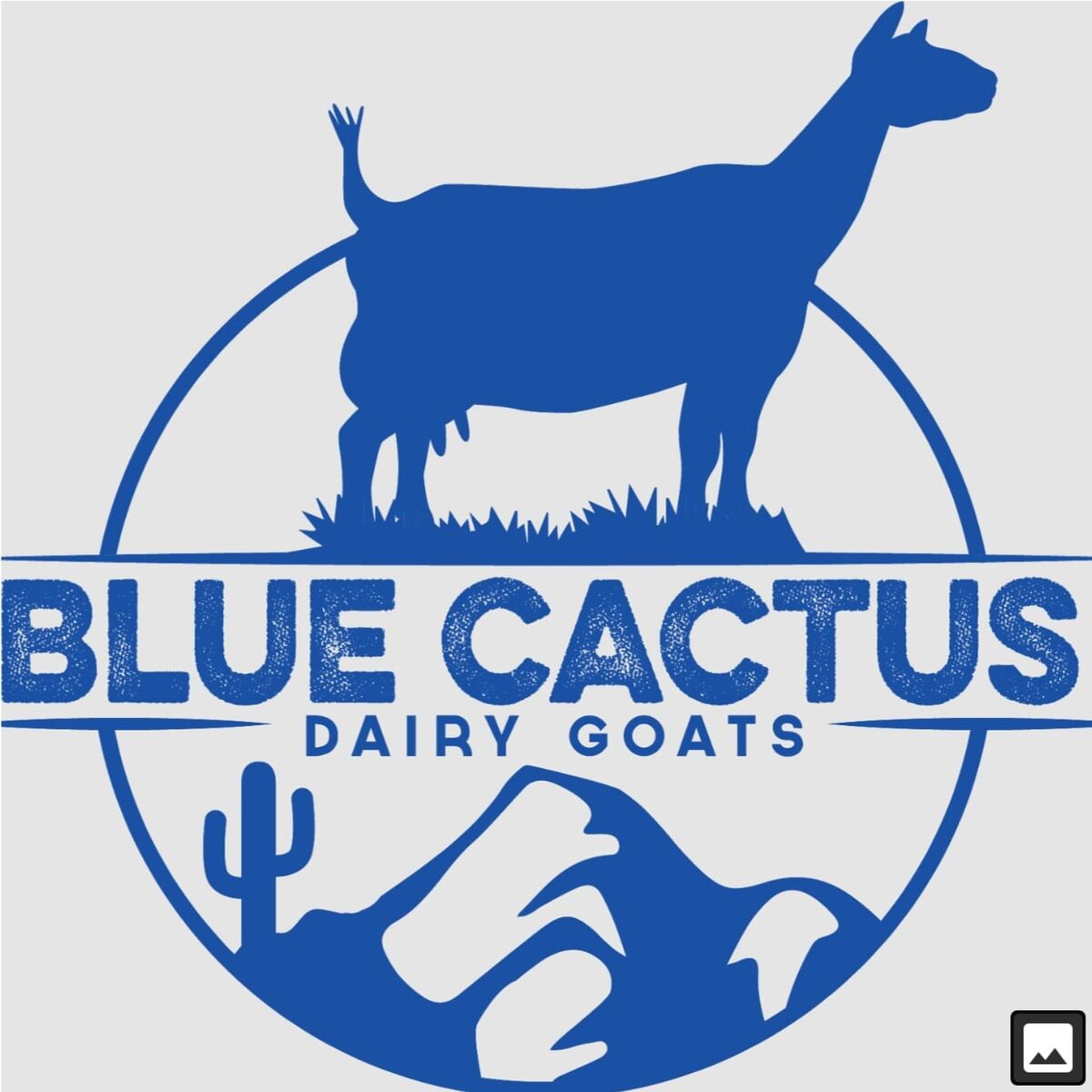 Blue Cactus Dairy Goats Animal Database Fandom