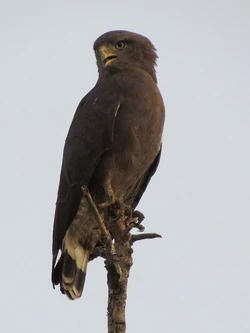 5643276075 3df51b1789 b