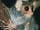 Peleng Tarsier