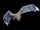 White-winged Vampire Bat