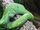 Green Tree Python